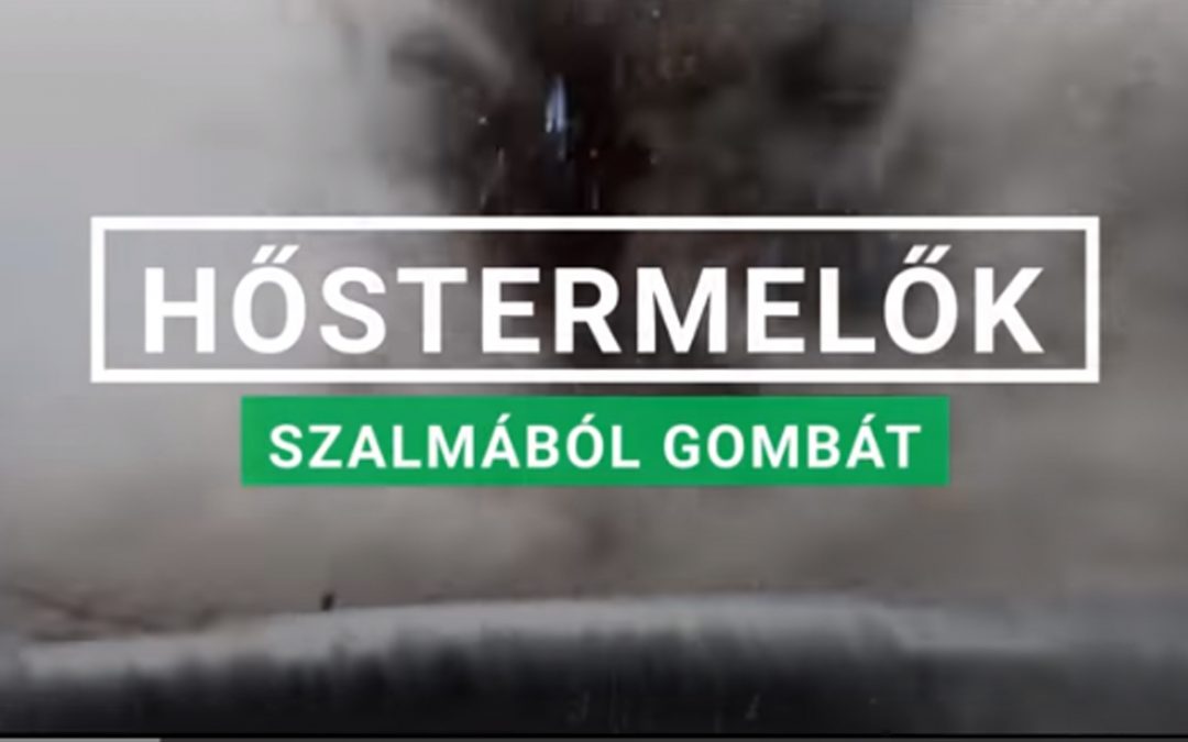 Hőstermelők – Szalmából gombát